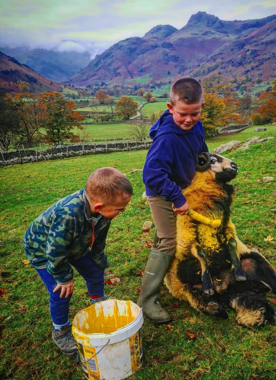 Lake District Glamping, Great Langdale